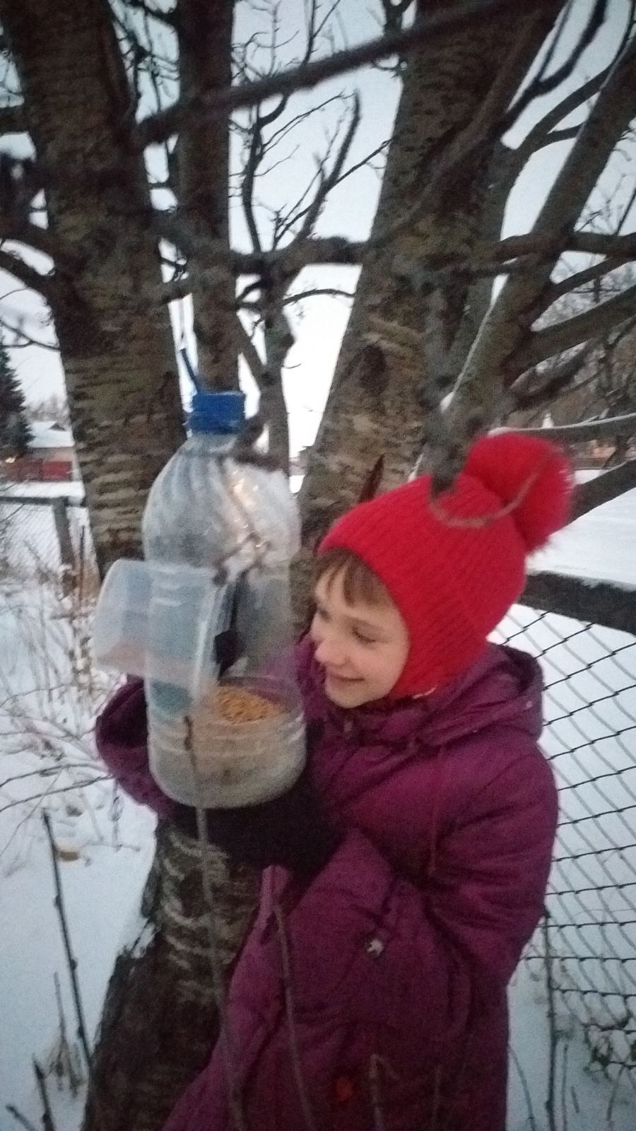 Модельный план. Поможем птицам перезимовать..